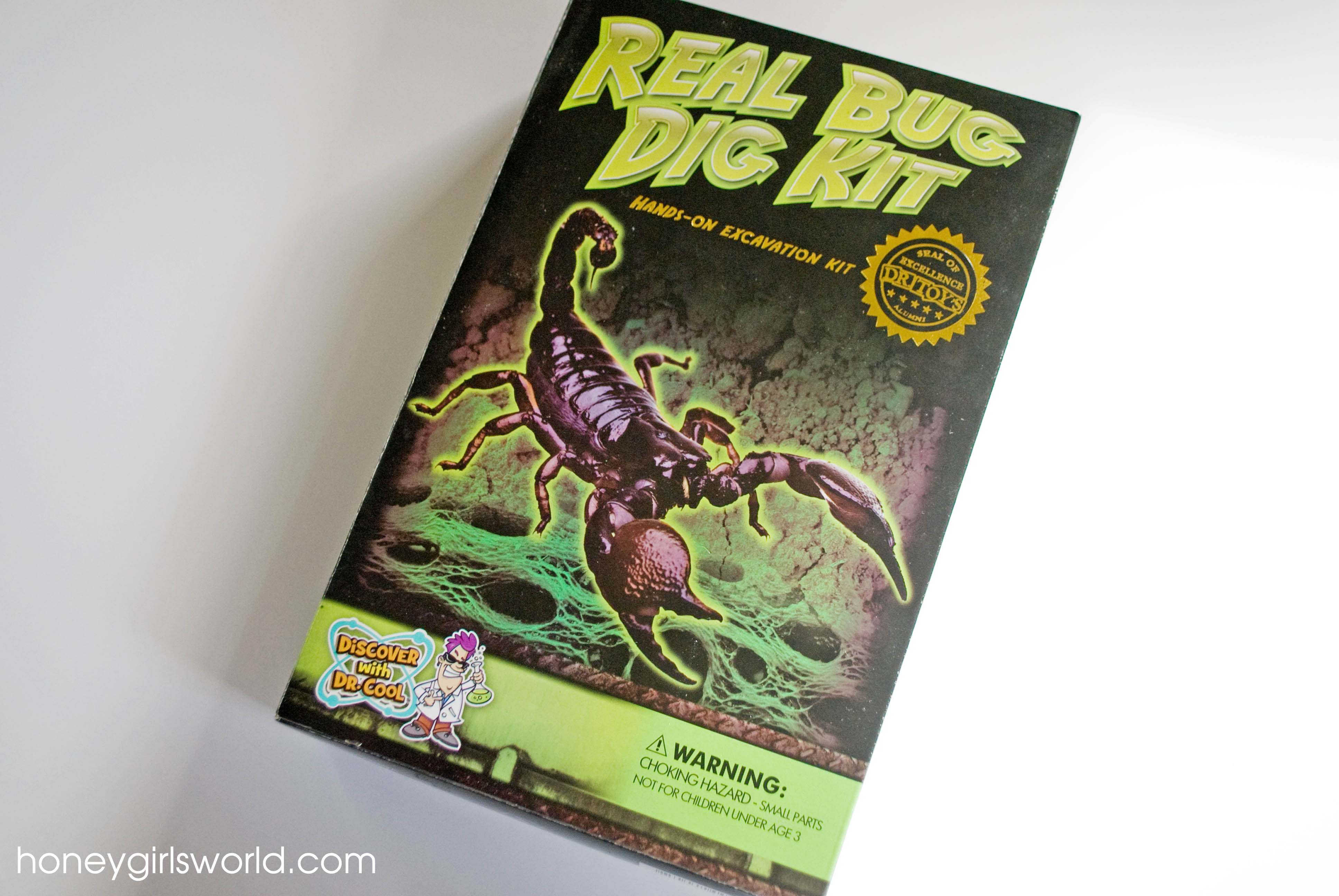 Real Bug Dig Kit