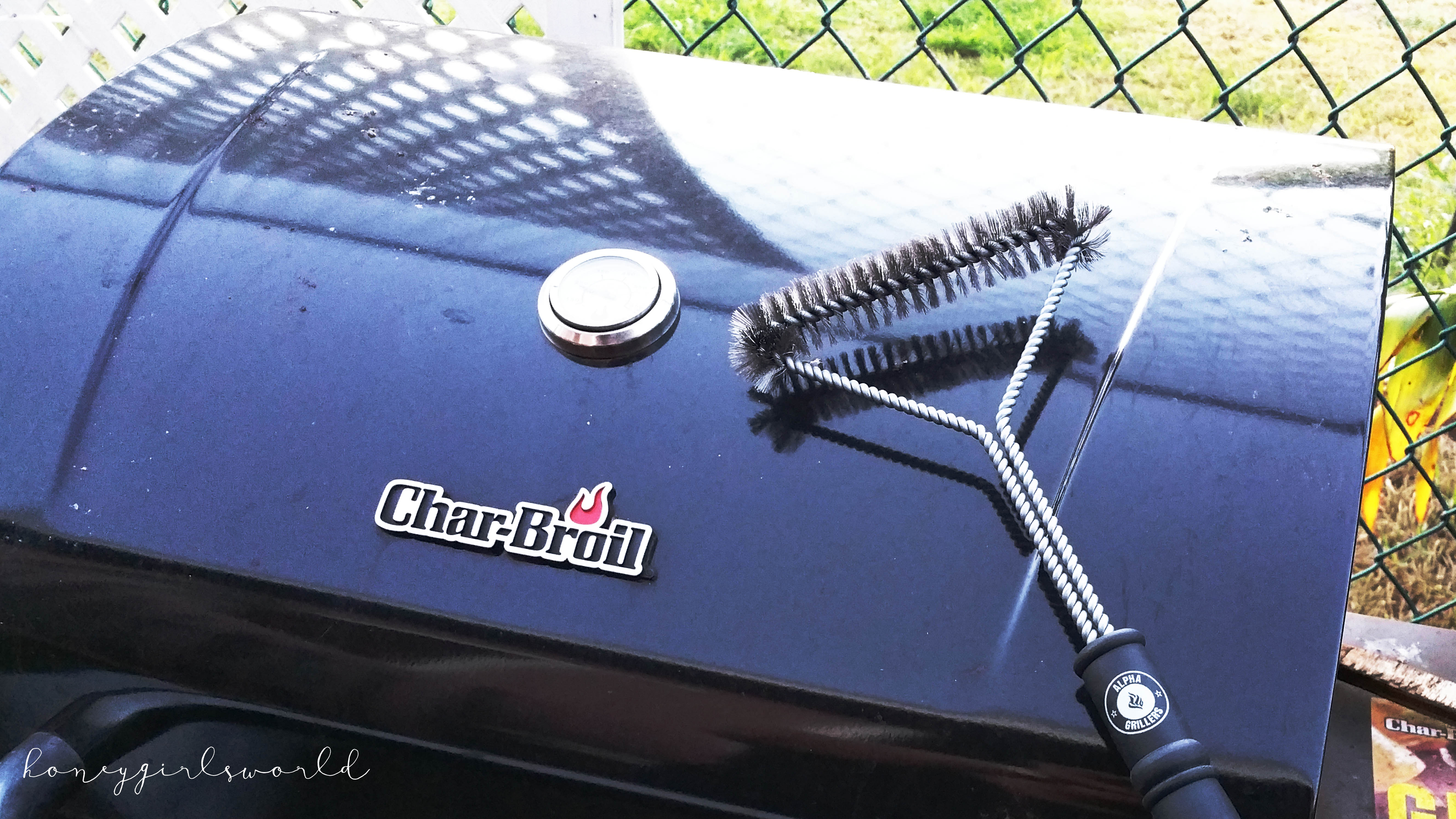 Summer Barbecue with Alpha Grillers Grill Brush