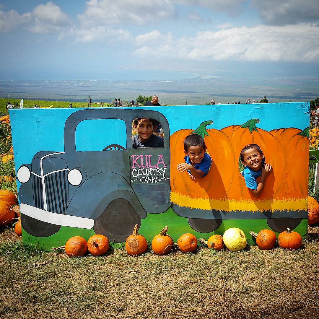 Annual Trip To The Pumpkin Patch - Kahoohanohano Family Adventures