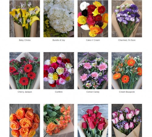 Bouqs.com Floral Selection