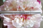 Wink Lash and Brow Oil, brow oil, lash oil, wink, amalie beauty, Amalie, beauty, makeup, grow lashes, longer lashes, thicker lashes, makeup, skin care, review, product review, beauty,