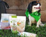 freshpet, meal time, king charles cavalier spaniel, dog, cat, animals, family fur babies, pet food, pet meals, freshpet dog food, dog food, review, eating, healthy meal,